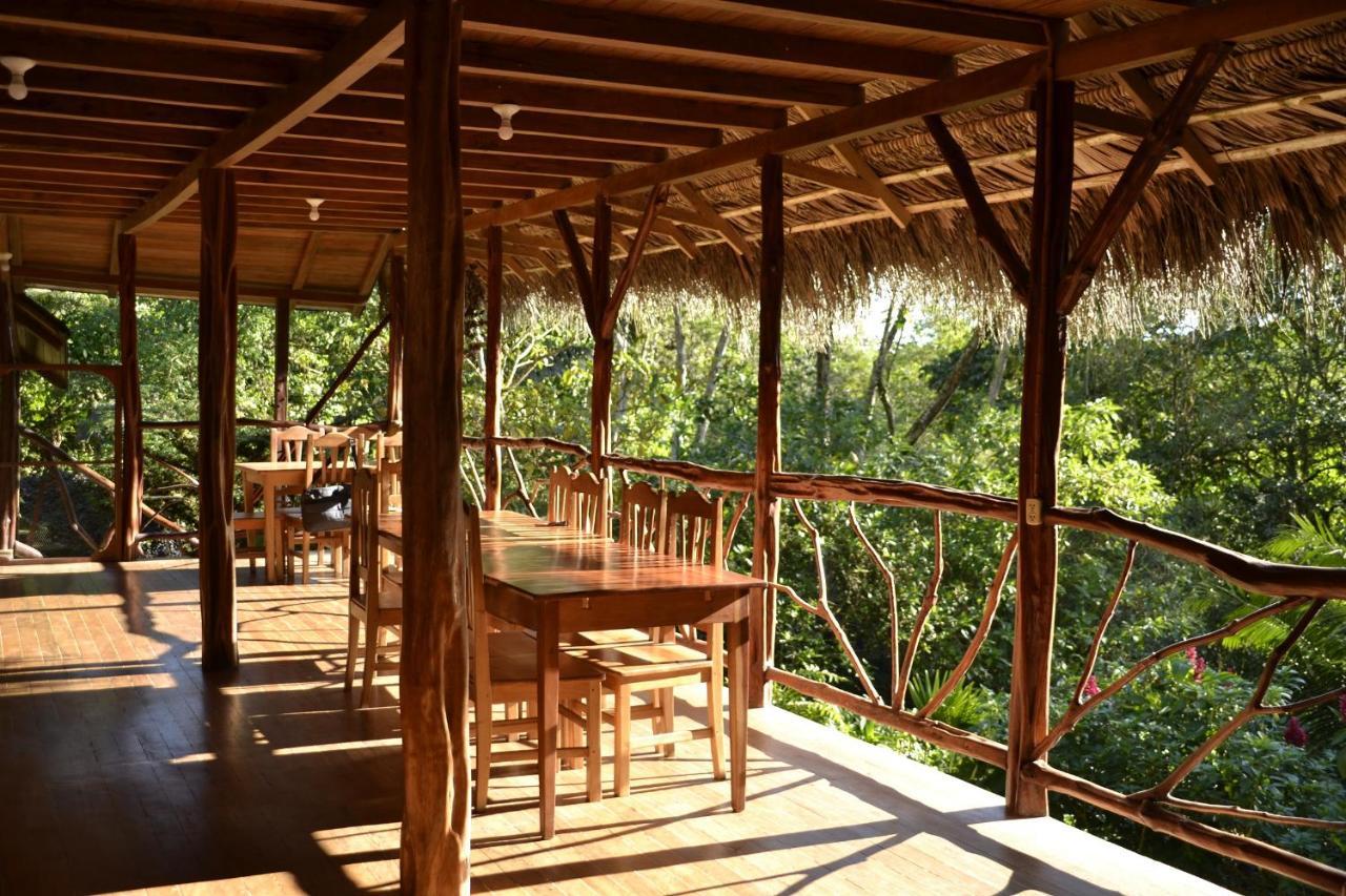 Hostal Pakay Tena Εξωτερικό φωτογραφία